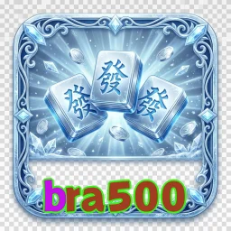 bra500