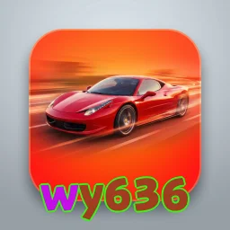 wy636